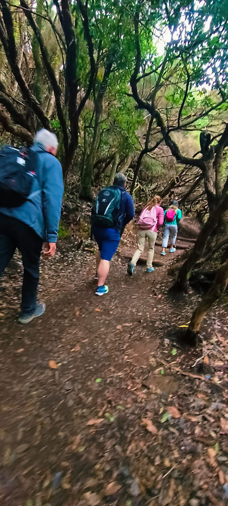 CAMINATA ANAGA CHINAMADA